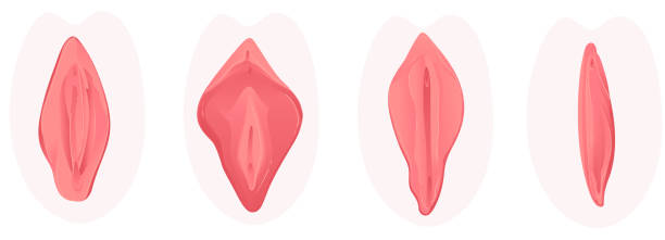 genital estetik